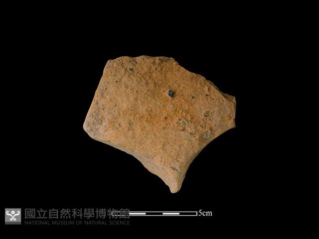 連杯形器藏品圖，第1張