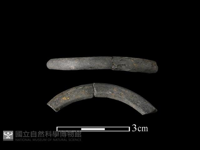 陶環藏品圖，第1張