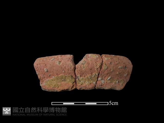 陶罐藏品圖，第1張