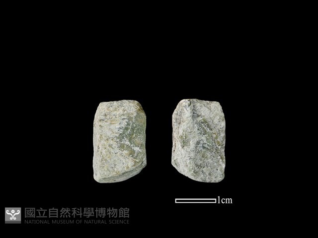 磨製石器藏品圖，第1張