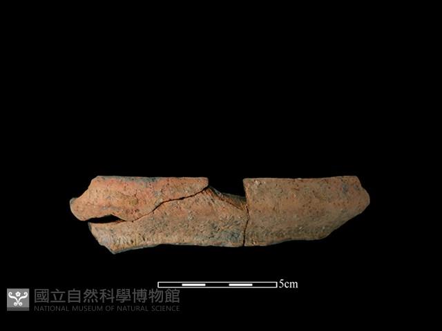 Accession Number:HL-LF78-2019-146 Collection Image, Figure 1, Total 2 Figures