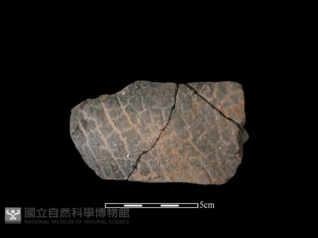 陶缽藏品圖，第1張