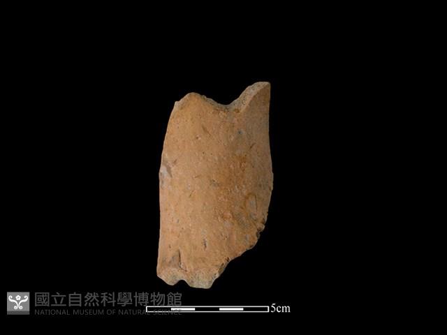 連杯形器藏品圖，第1張