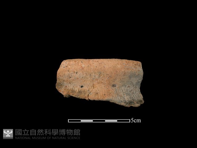 陶罐藏品圖，第1張