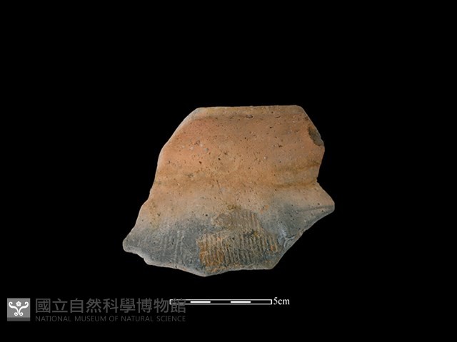 陶罐藏品圖，第1張