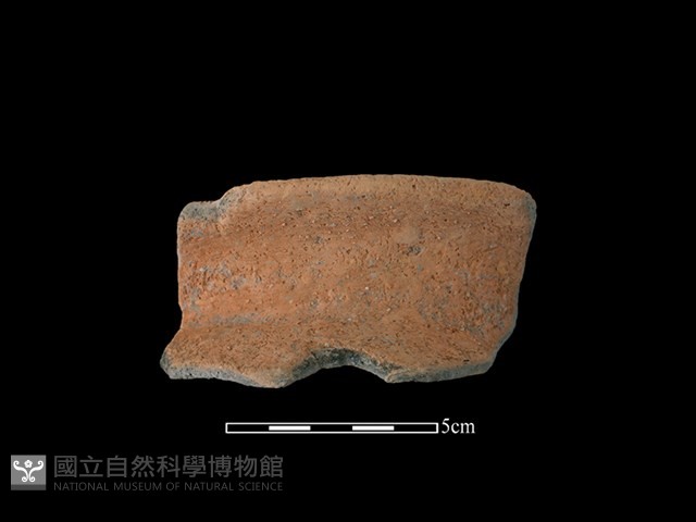 陶罐藏品圖，第1張