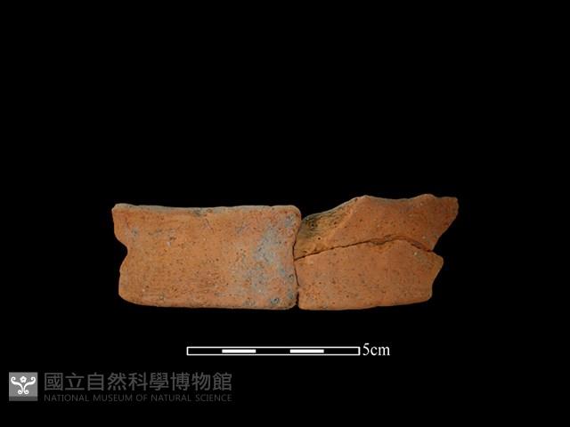 陶罐藏品圖，第1張