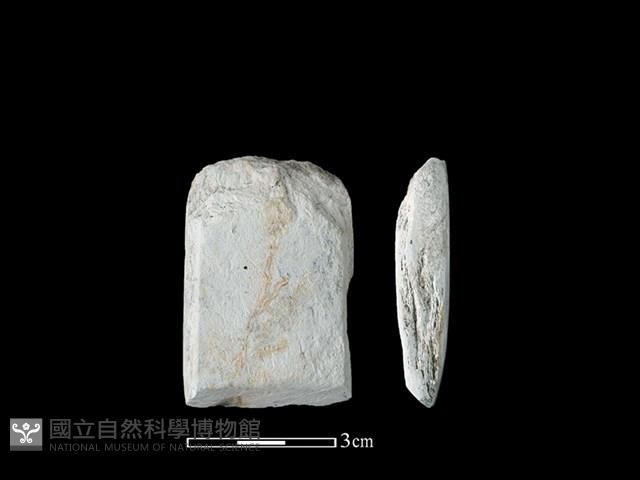 錛鑿形器藏品圖，第1張