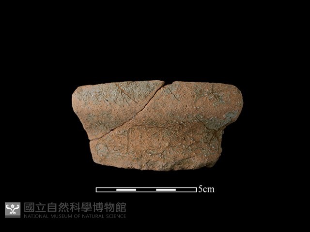 陶罐藏品圖，第1張