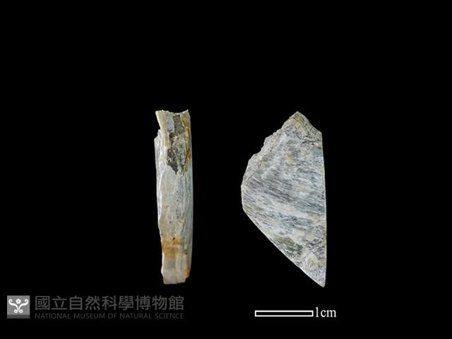 錛鑿形器藏品圖，第1張