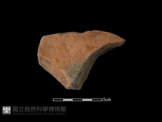 連杯形器藏品圖，第1張