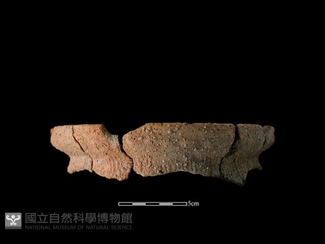 陶罐藏品圖，第1張