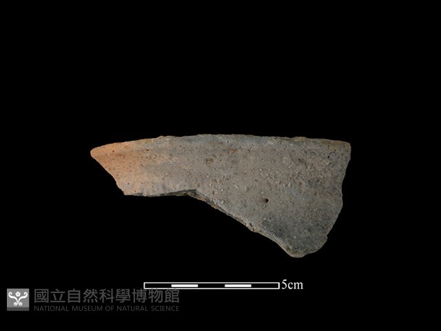 陶罐藏品圖，第1張