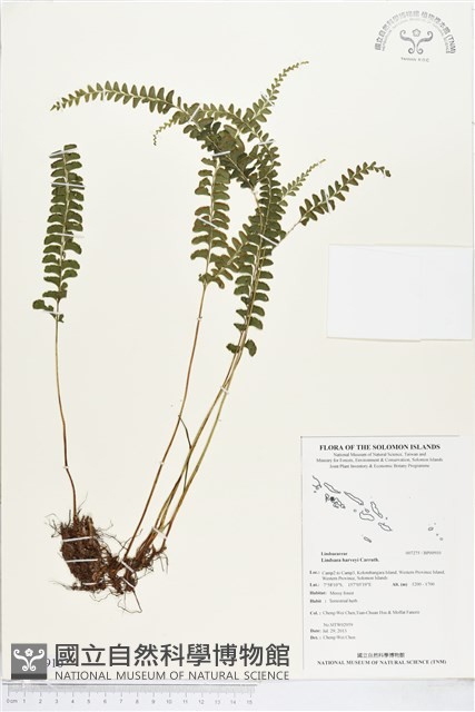 登錄號:BP00910藏品圖，第1張