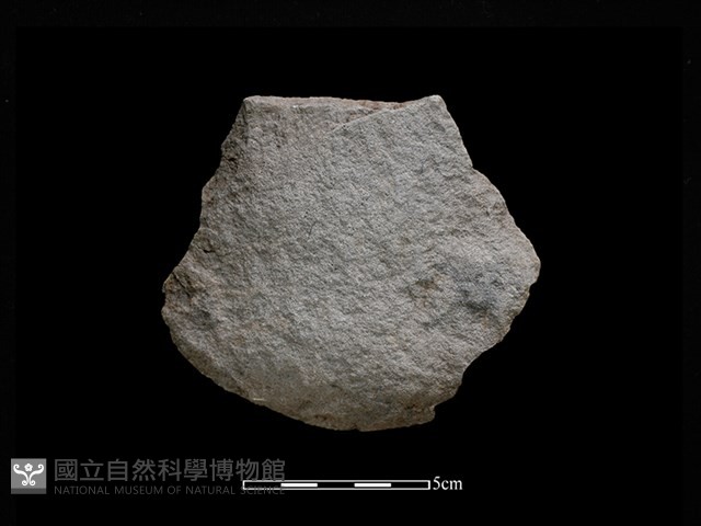 斧鋤形器藏品圖，第1張