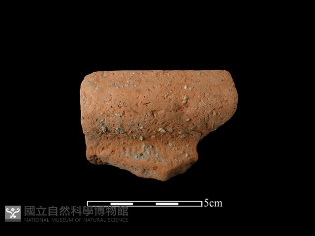 陶罐藏品圖，第1張