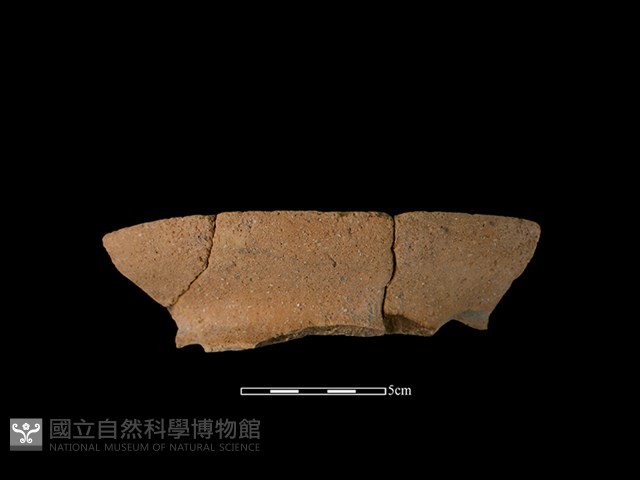 陶罐藏品圖，第1張