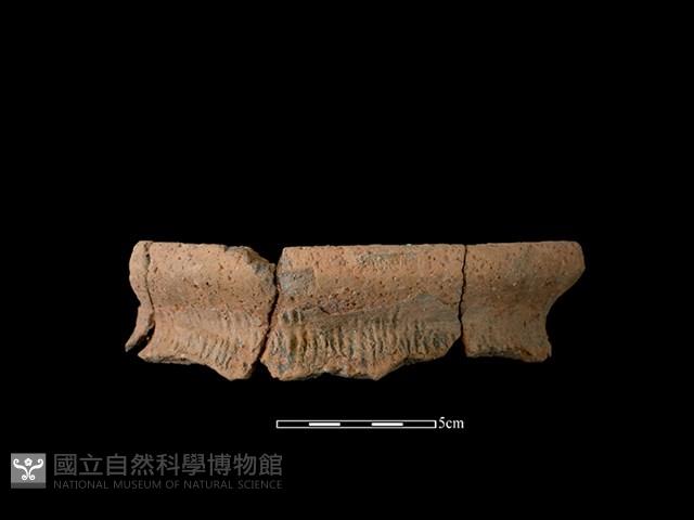 陶罐藏品圖，第1張