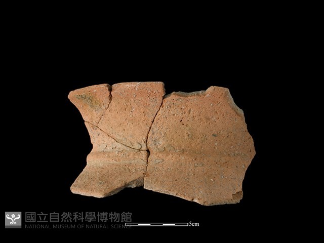 陶罐藏品圖，第1張