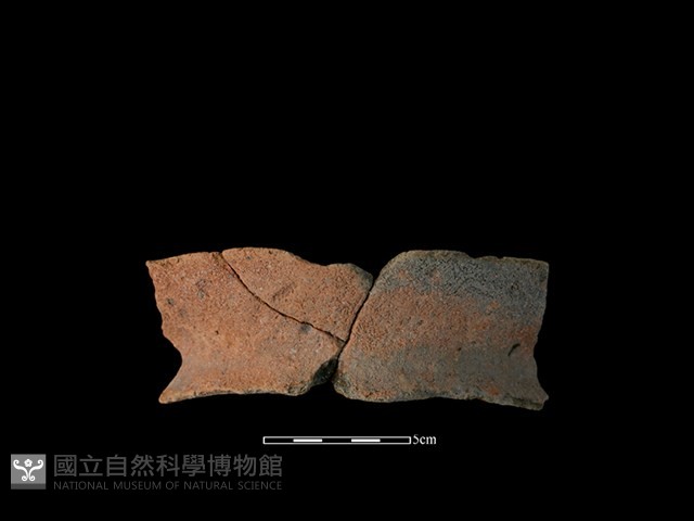 陶罐藏品圖，第1張