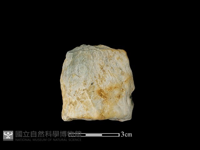 打製石器藏品圖，第1張