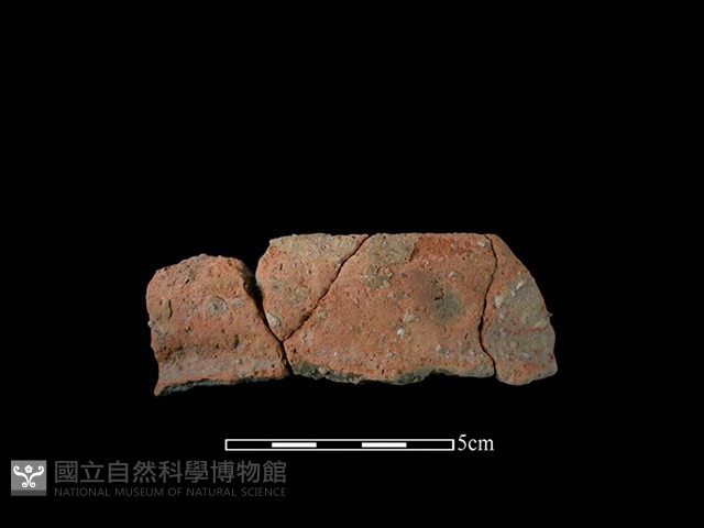 陶罐藏品圖，第1張