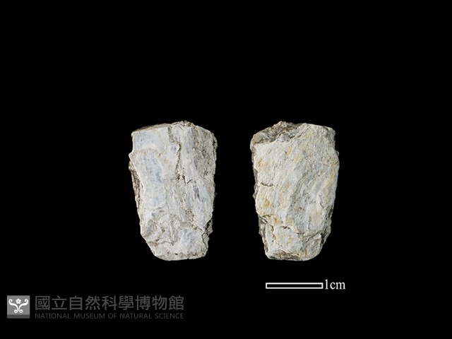 磨製石器藏品圖，第1張