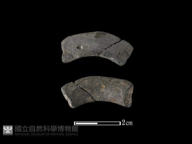 陶環藏品圖，第1張