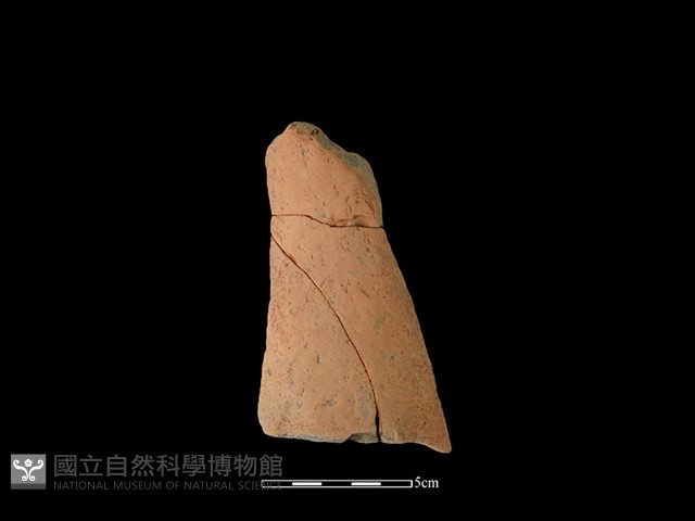 連杯形器藏品圖，第1張