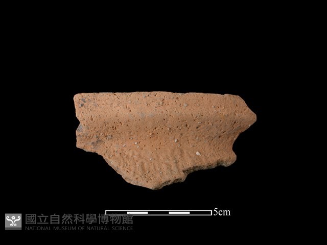 陶罐藏品圖，第1張