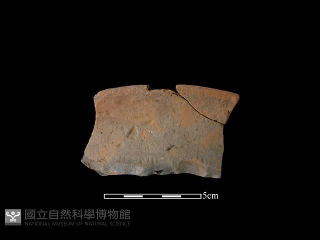 陶罐藏品圖，第1張