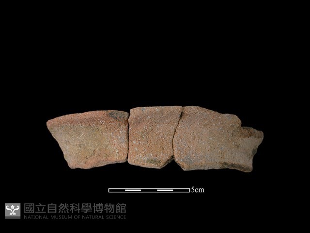 陶罐藏品圖，第1張