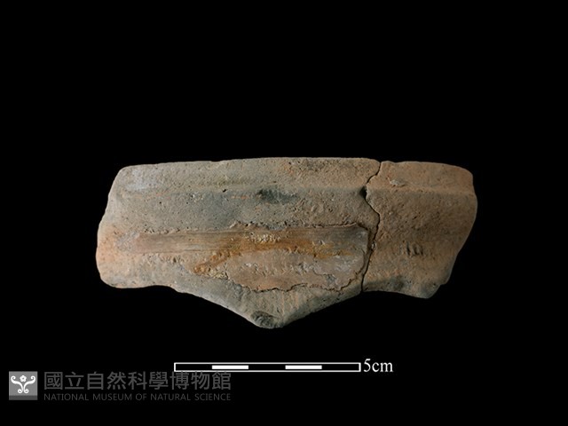 陶罐藏品圖，第1張