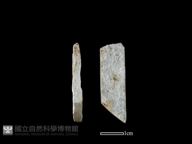 錛鑿形器藏品圖，第1張