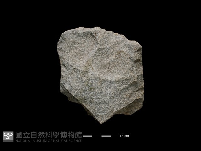 斧鋤形器藏品圖，第1張
