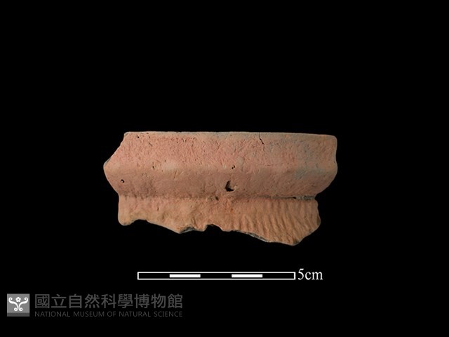 陶罐藏品圖，第1張