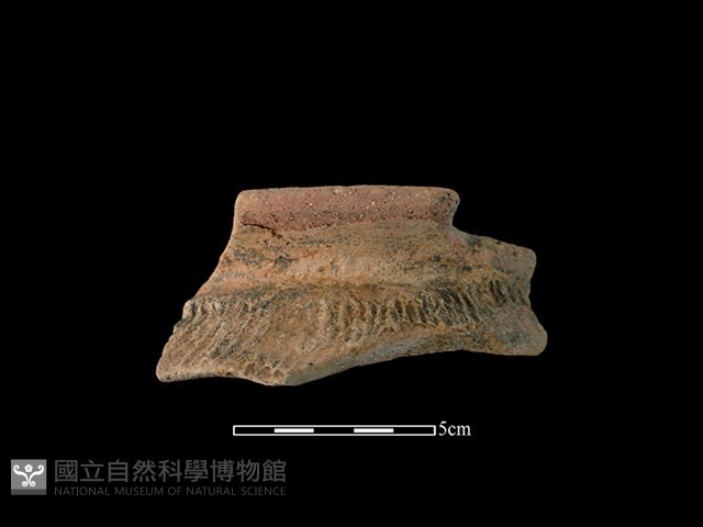 陶罐藏品圖，第1張
