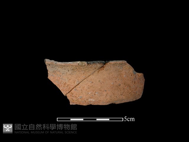 陶罐藏品圖，第1張