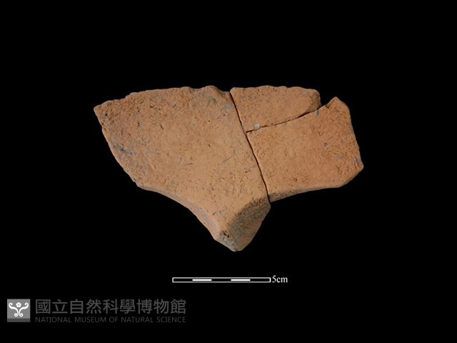 連杯形器藏品圖，第1張