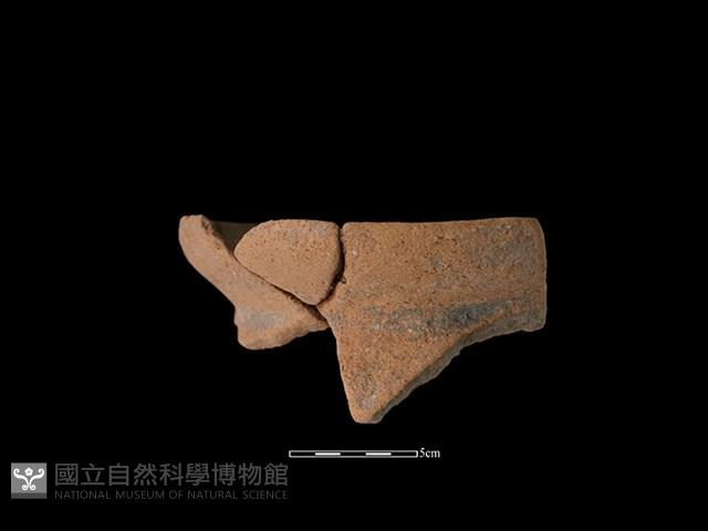 Accession Number:HL-LF78-2019-194 Collection Image, Figure 1, Total 2 Figures