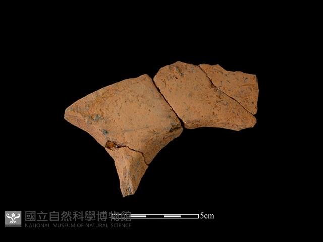 連杯形器藏品圖，第1張