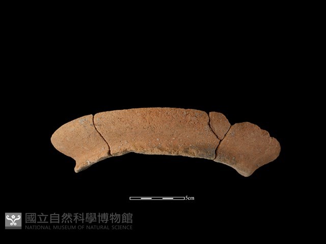 陶罐藏品圖，第1張