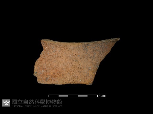 陶罐藏品圖，第1張