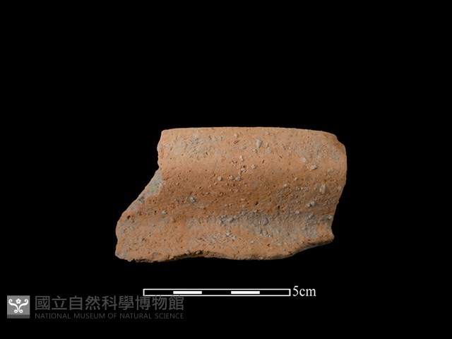 陶罐藏品圖，第1張