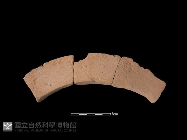 連杯形器藏品圖，第1張