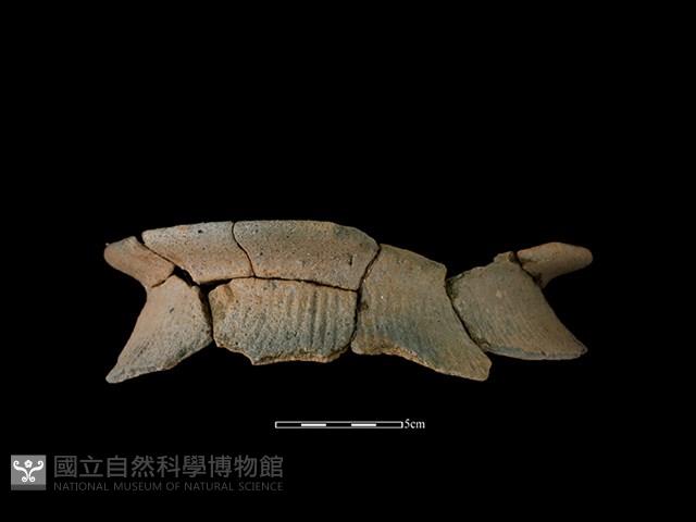 陶罐藏品圖，第1張