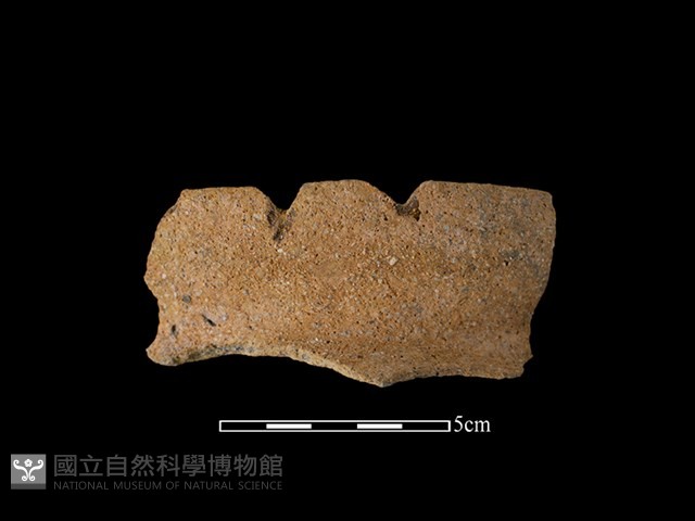 陶罐藏品圖，第1張