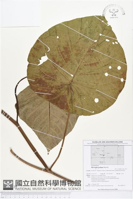 登錄號:BS02829藏品圖，第1張