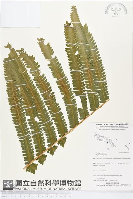 登錄號:BP02029藏品圖，第1張