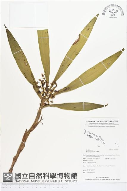 登錄號:BS02029藏品圖，第1張